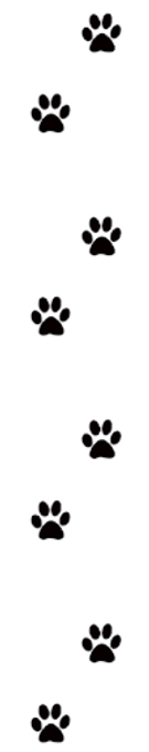 paw%20print%204_edited.png