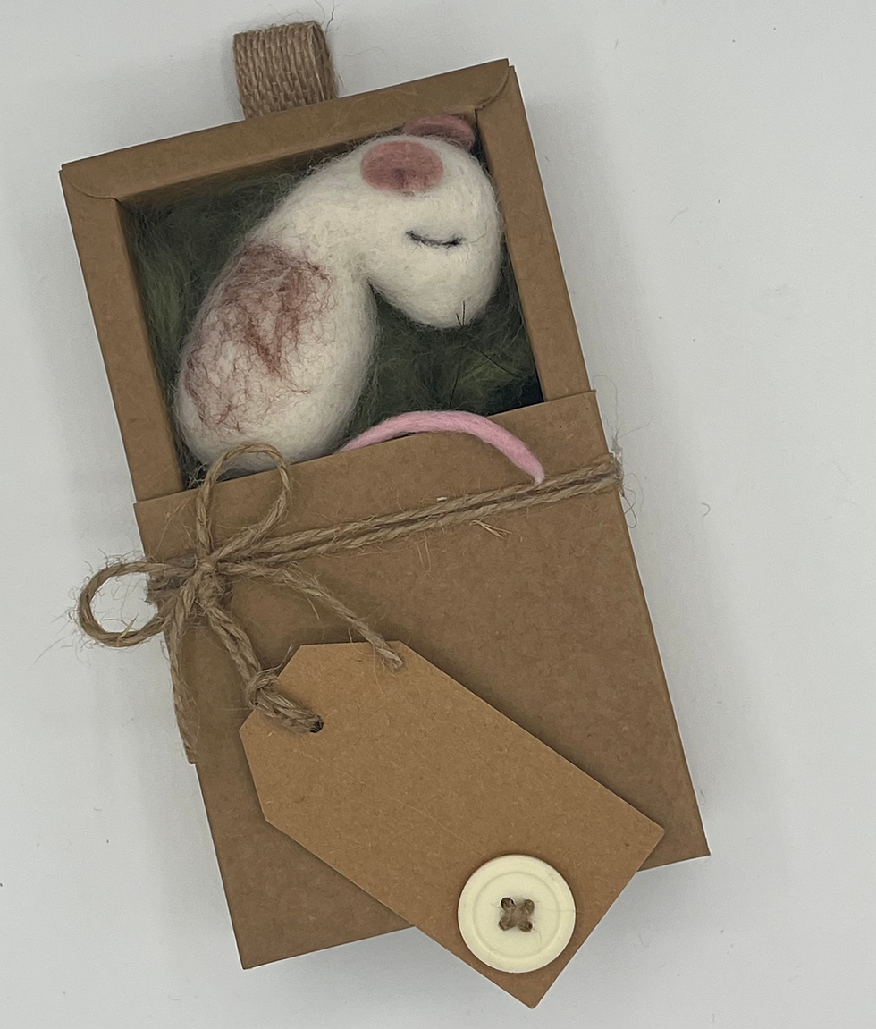 Thumbnail: Tiny sleepy mouse Clover