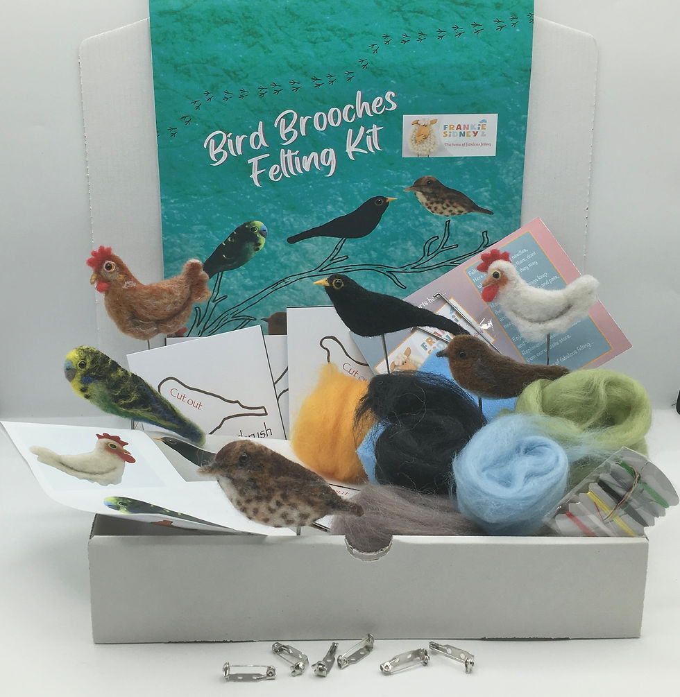 Thumbnail: Bird Brooch Needle Felting Kit
