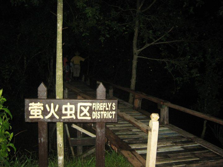 【玩咖推荐】哥打丁宜景点(II) - 博物館與螢火蟲