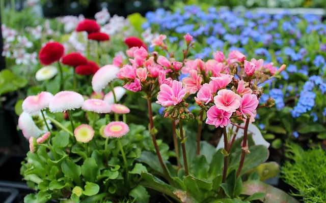Our Products Spring Brook Farm