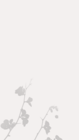 23  08  2025 (Phone Wallpaper) (4).png