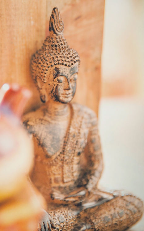 pexels-anna-kapustina-1020411 (1)_edited.jpg