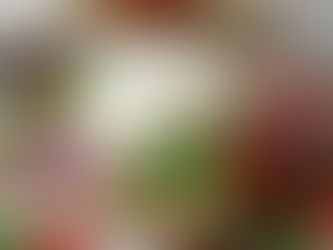 30 dakikada mozarella yapımı