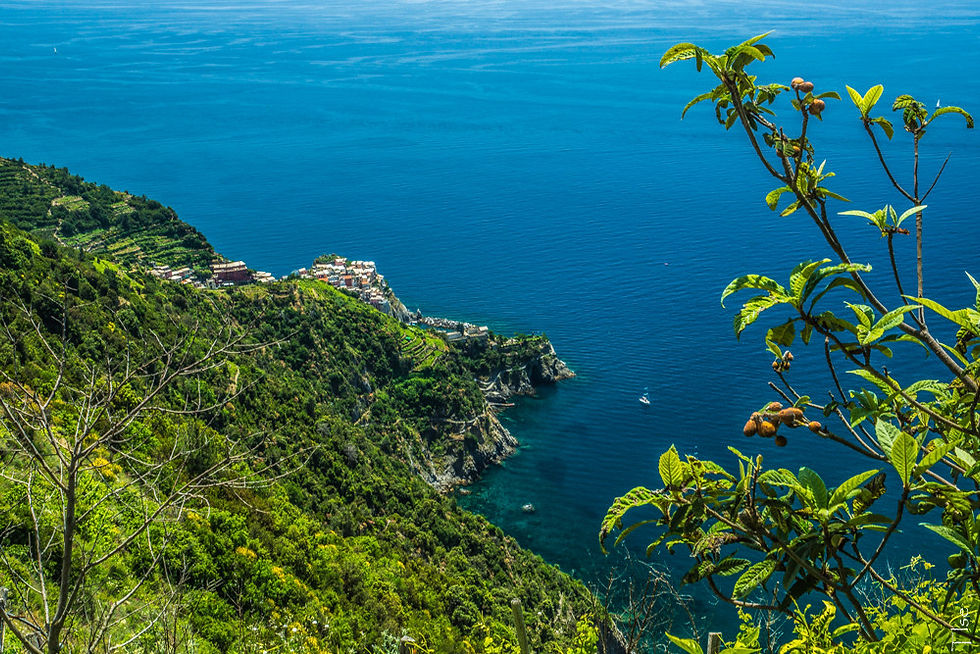 Manarola