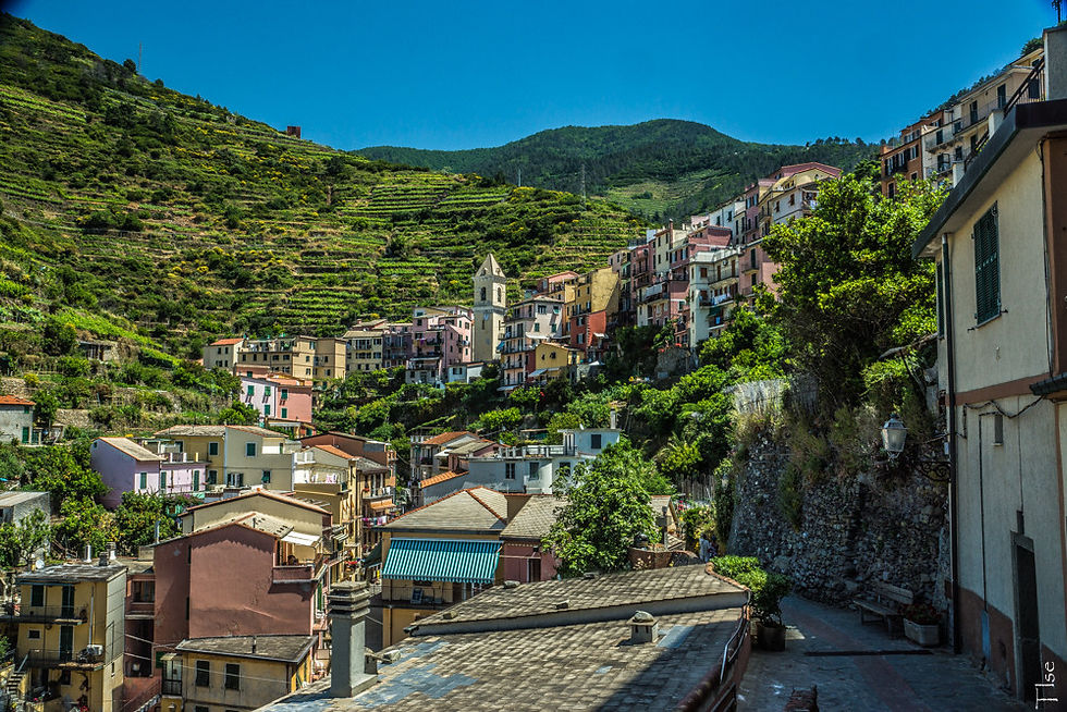 Manarola