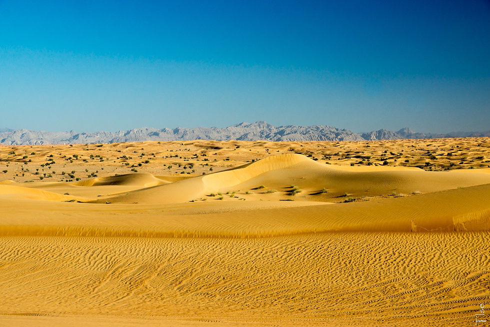 Emirats Arabes Unis