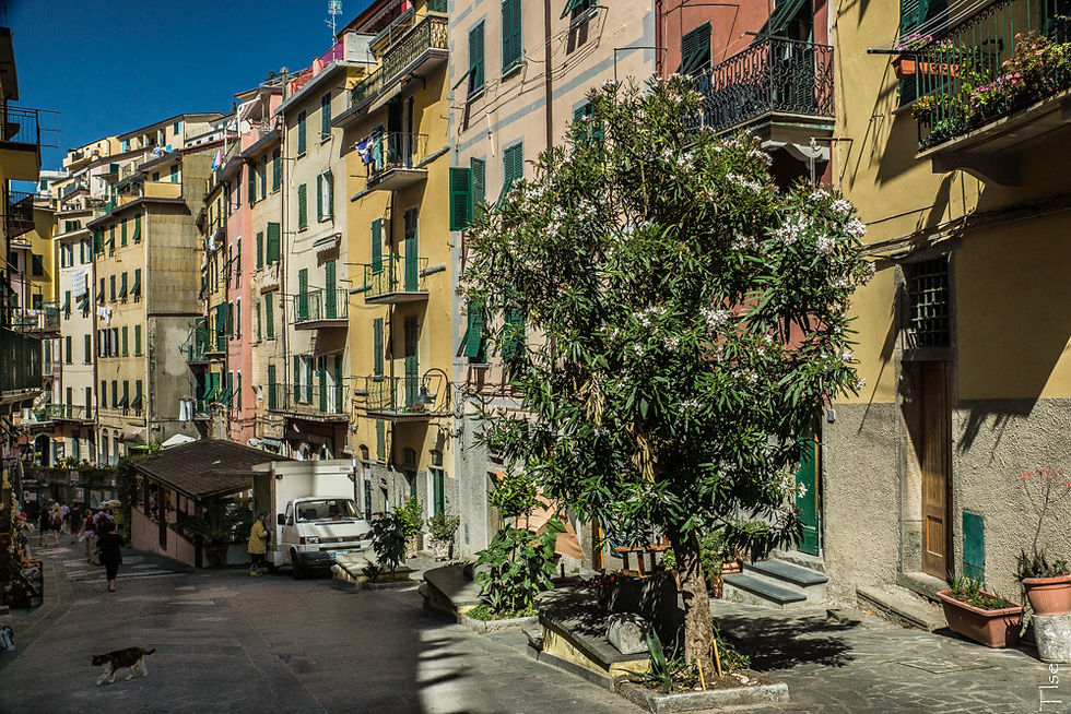 Riomaggiore