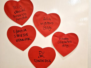 Love, Friendship, and Zumba: A Recap of Our Sweaty Celebration!