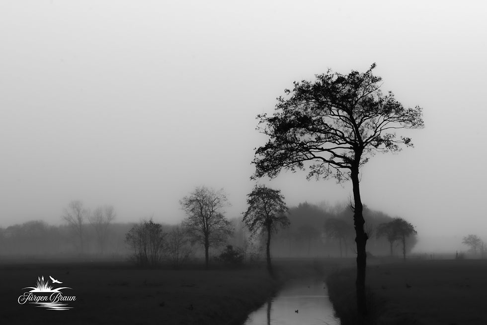 Abendstimmung
