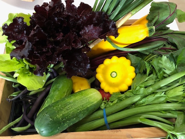 Arranged Food and Objects