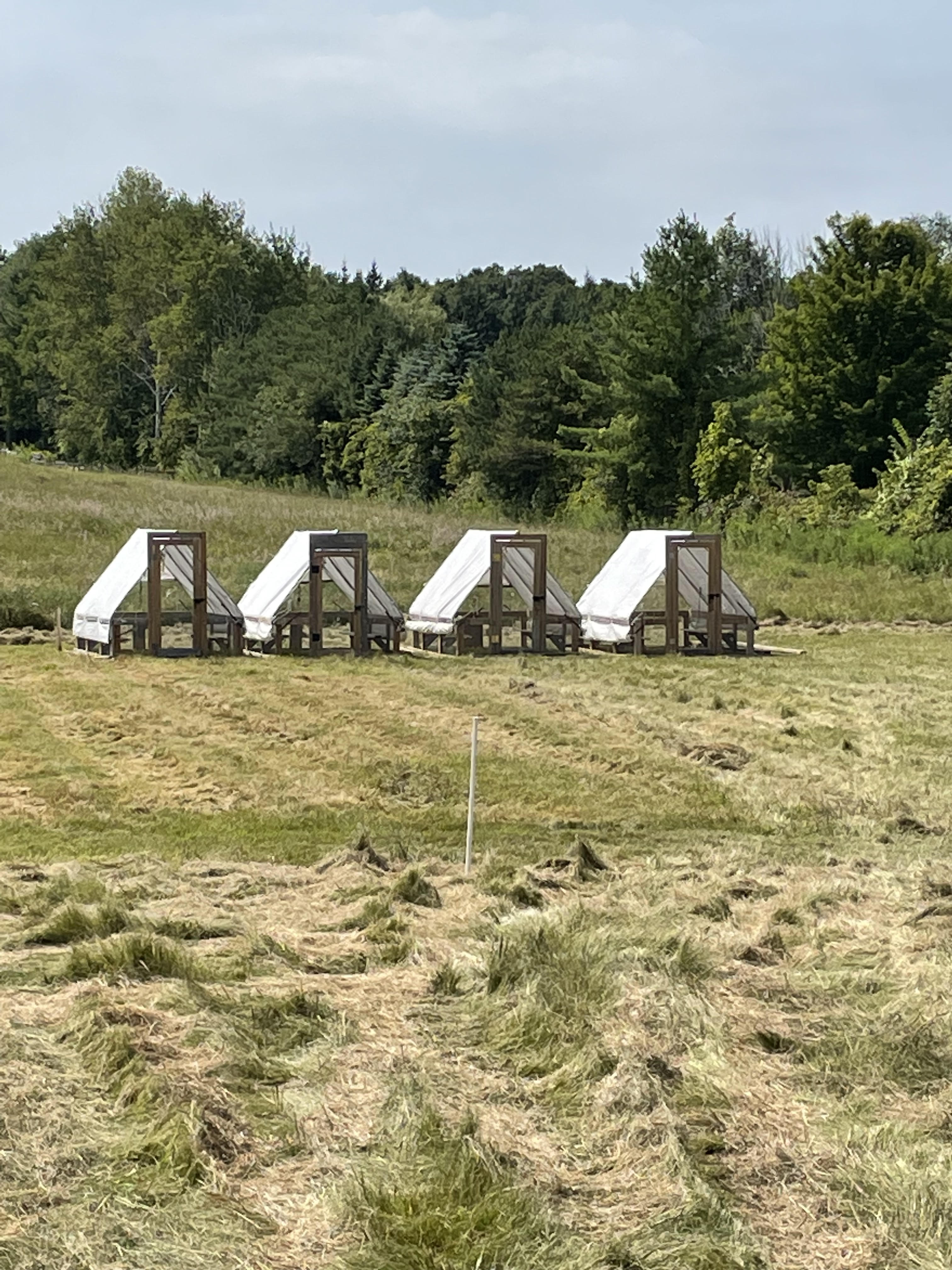 Arranged Food and Objects