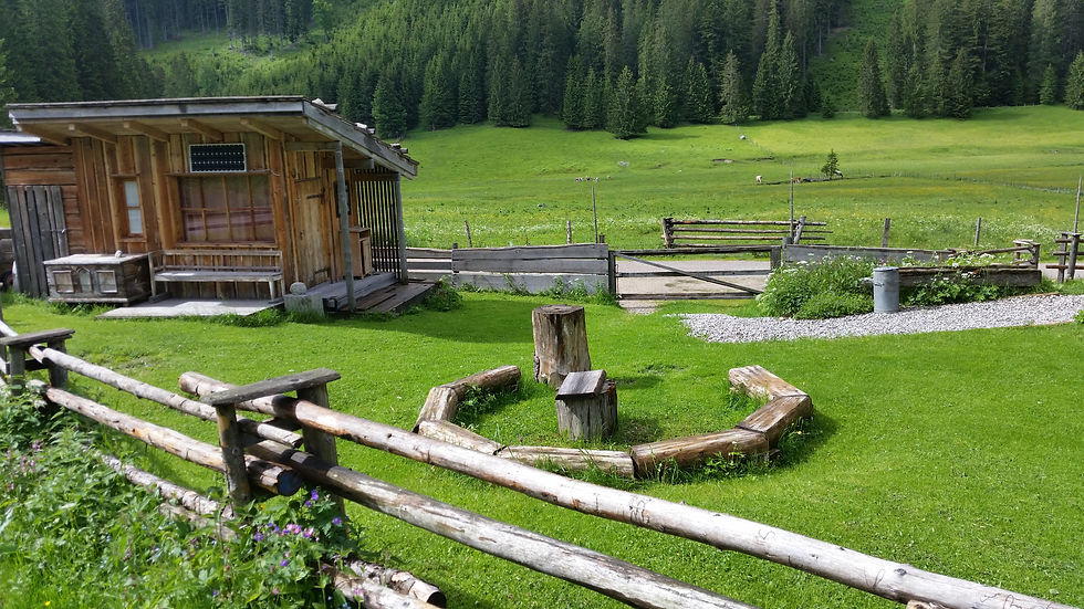 © alphomes.at schützinger