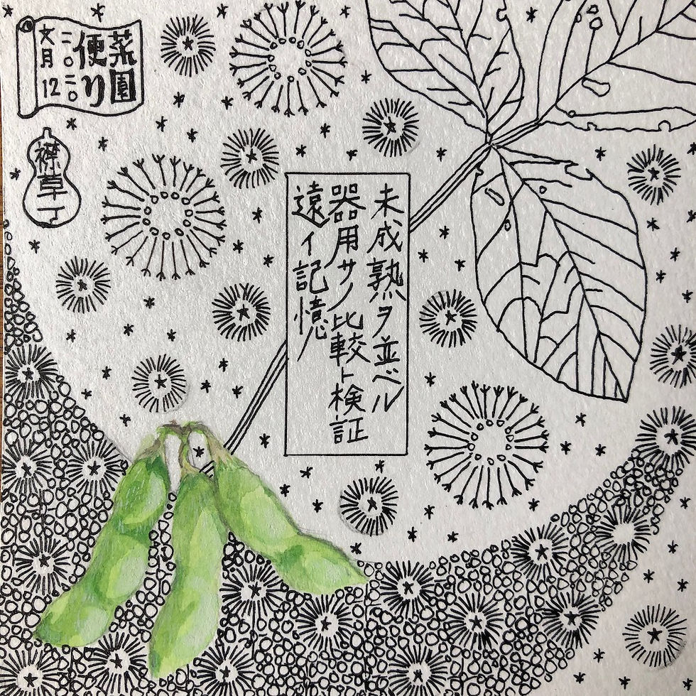 2020年7月12日
