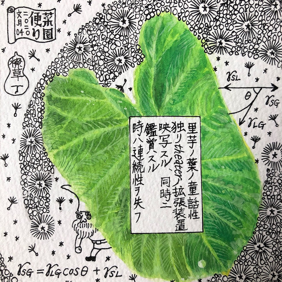 2020年7月4日