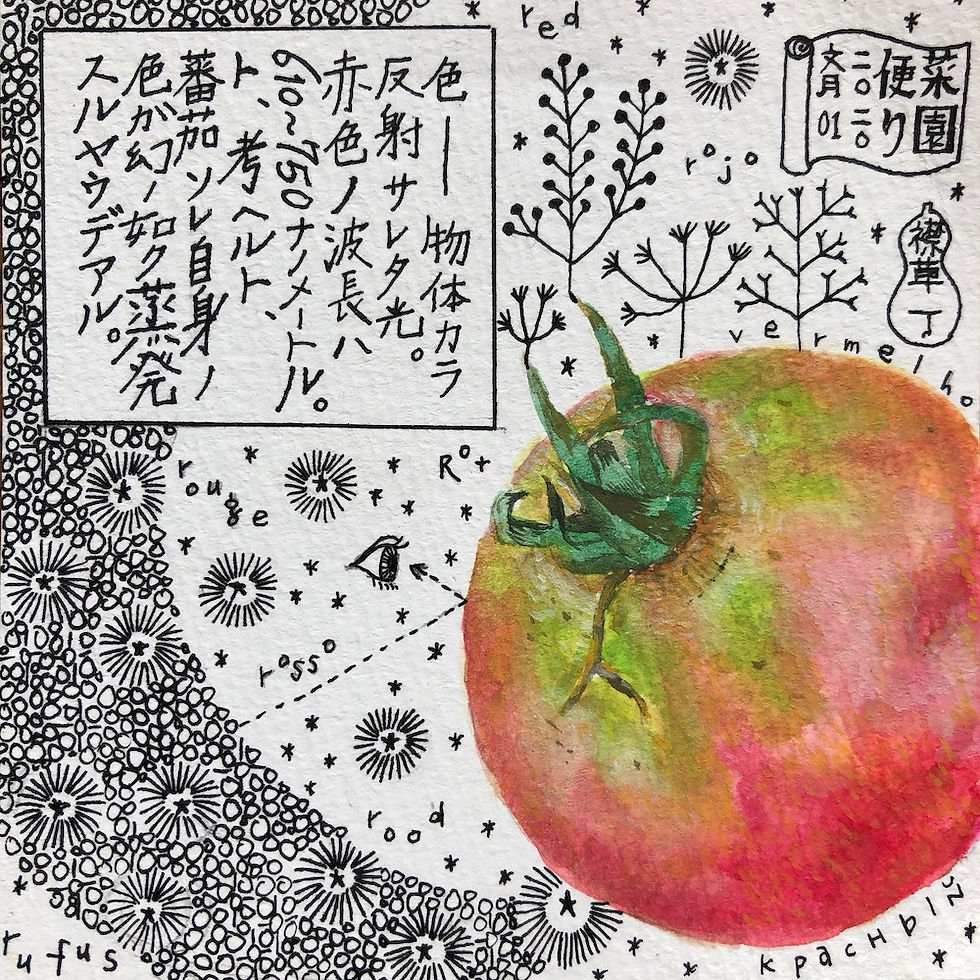 2020年7月1日