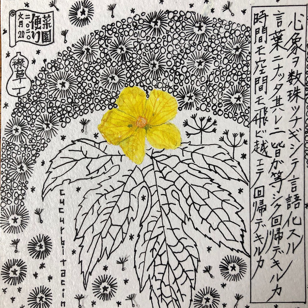 2020年7月20日