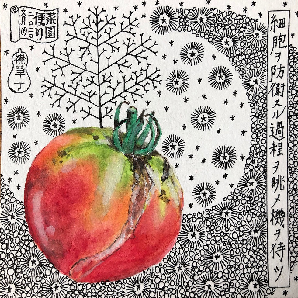 2020年7月9日