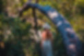ChelseaHover0072_websize.jpg