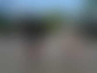 2060 生涯 初