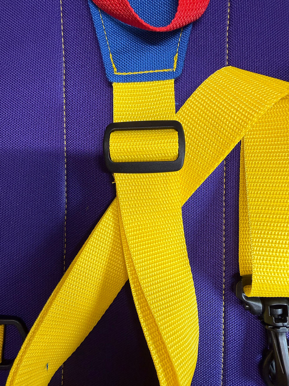 Thumbnail: Commuter Crossbody Bag- Color Block