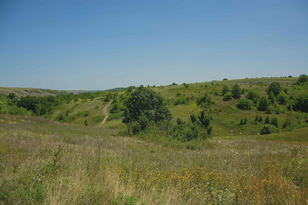 campie traditional literatura natura premiu
