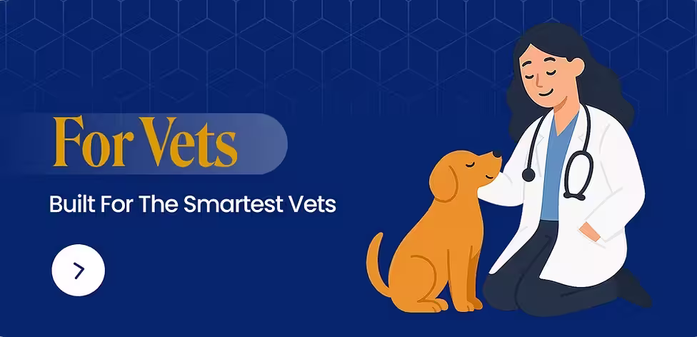 for vets (1) (1).avif