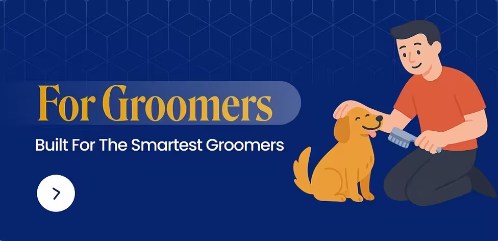 for groomers (2) (1).avif