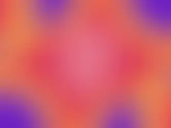 Leveraging Instagram to Elevate Your Pet Boarding Business