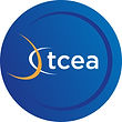 TCEA badge.jpg