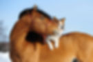Fotolia_47461305_S.jpg