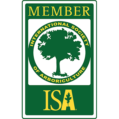 isa-member-logo.webp