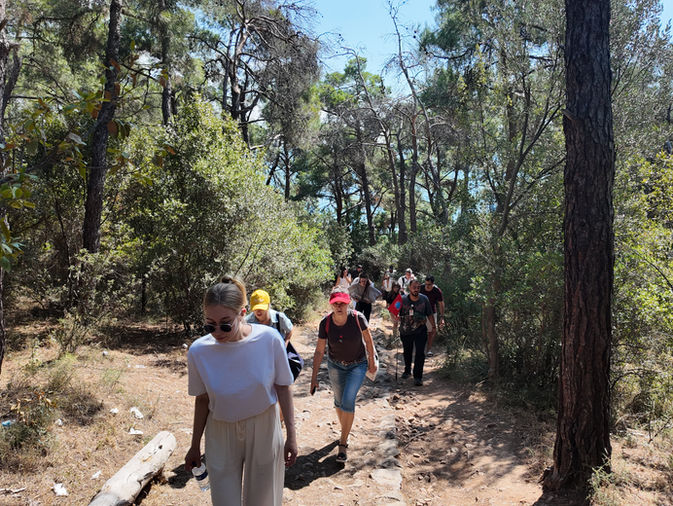 Walking trail through pine forest on Princes Islands nature path Büyükada