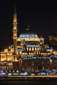 Illuminated mosque on the Bosphorus during Istanbul night cruise with Blue Brothers company