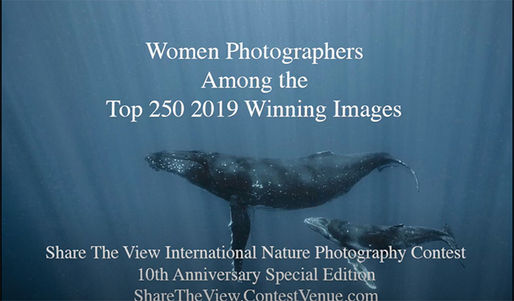 Share the View Top 250 WomenWinners