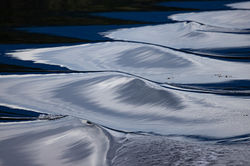 Wake_W5A5285