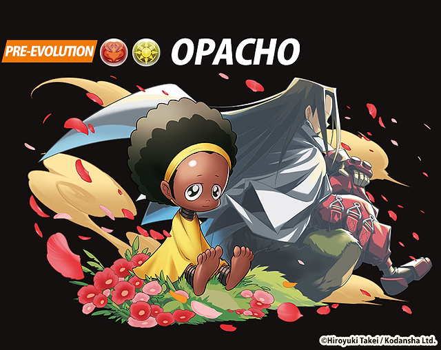 28 Opacho