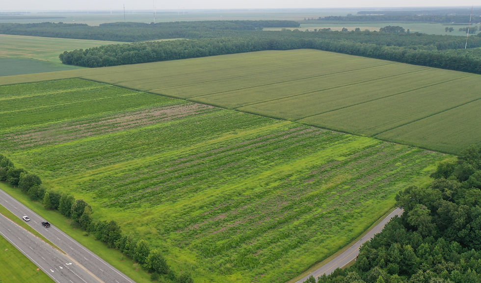 2021-08-03 07.29_edited.jpg