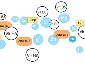 Qu'est-ce que la Micronutrition ?
