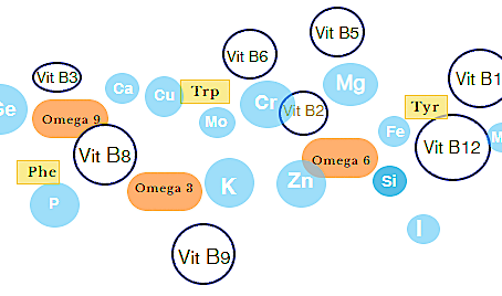 Qu'est-ce que la Micronutrition ?
