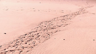 1110888_edited_edited_edited_edited.jpg