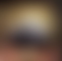 Fire burning a log inside a stove