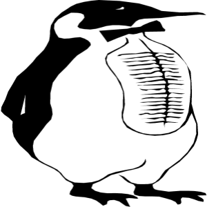NATU34.png