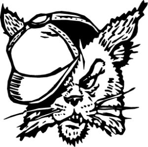 MAS093.png