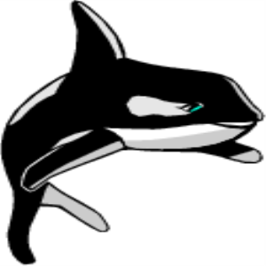 MS_C38.png
