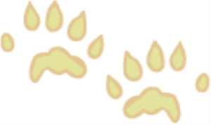 MSP_C16.png