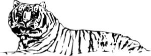 MAS118.png