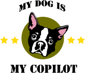 DCCT003.png