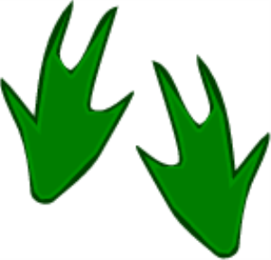 MSP_C02.png