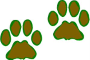 MSP_C04.png